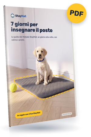 Guida StayMat «7 giorni per insegnare il posto», PDF in regalo