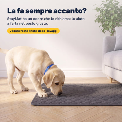 Cucciolo che annusa il tappetino StayMat: un odore che lo richiama, e resta anche dopo i lavaggi